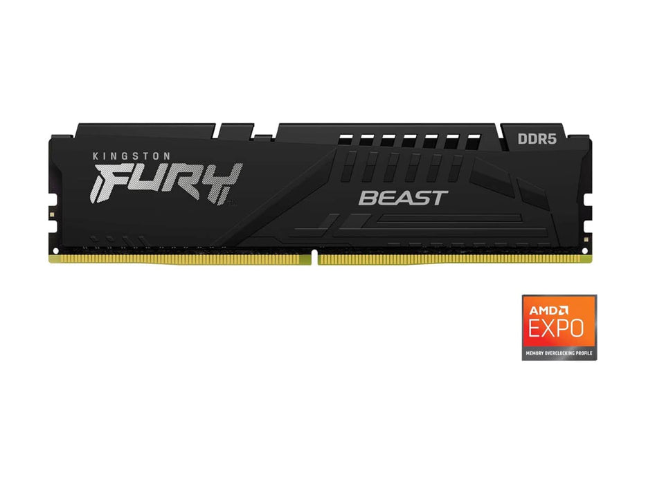 Kingston Fury  Beast 16GB (1x16GB) 5600MT/s DDR5 Desktop Memory (KF556C36BBE-16)