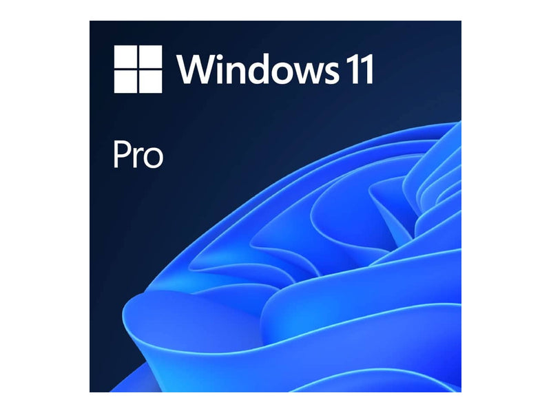 Microsoft Windows 11 Pro, OEI 64-Bit, English, DVD-ROM, Version 24H2